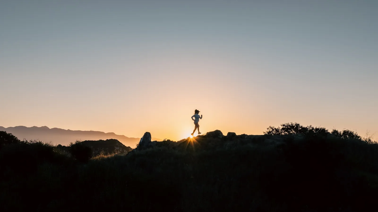 Blood values for athletes: what they say about muscle damage and recovery
