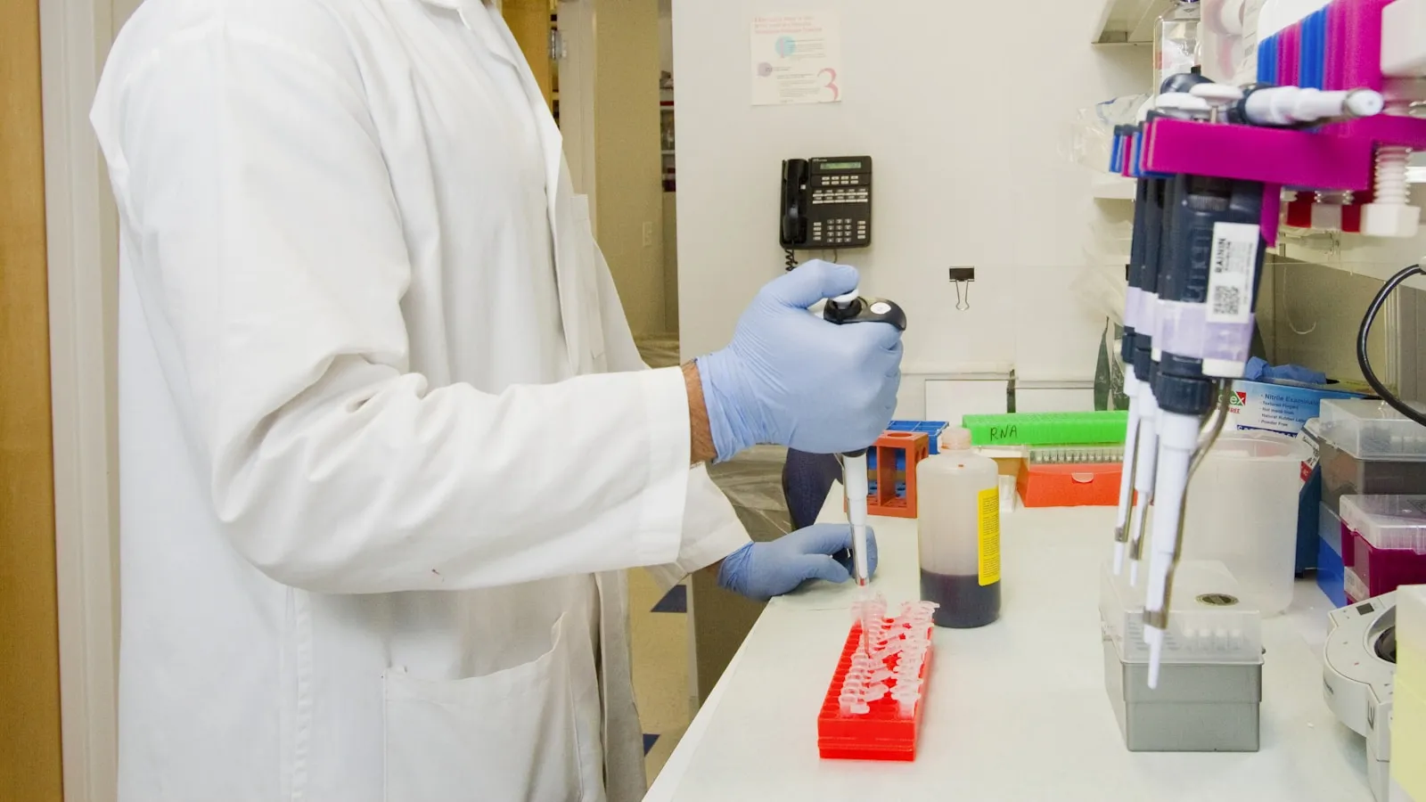 A complete blood test for men: which panels are there?