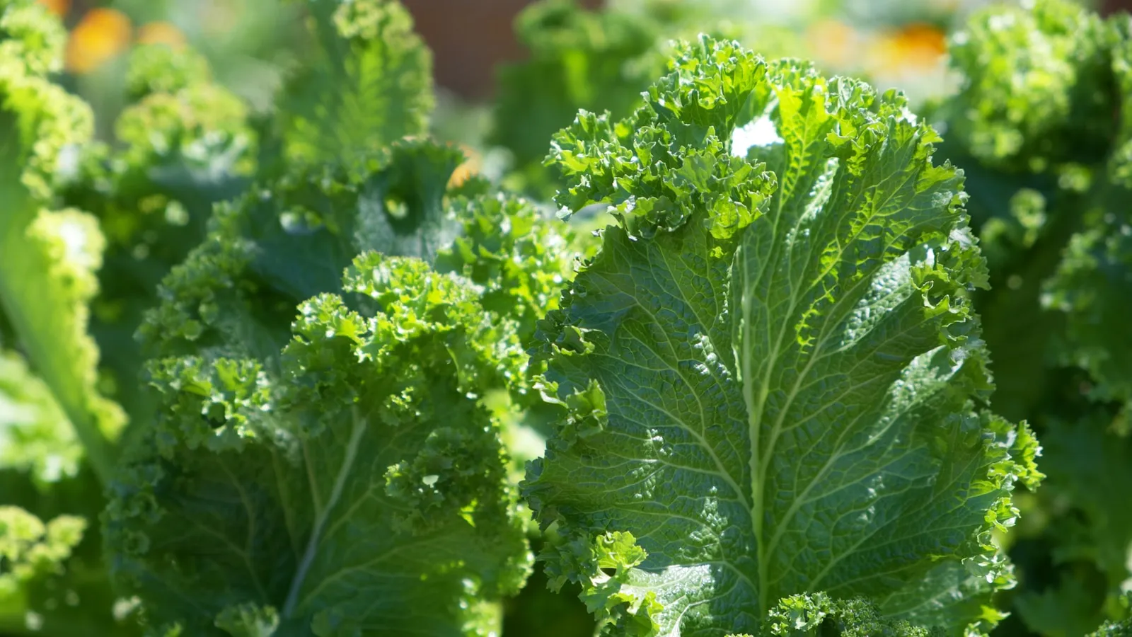 Iron deficiency in men: rare, but never just normal