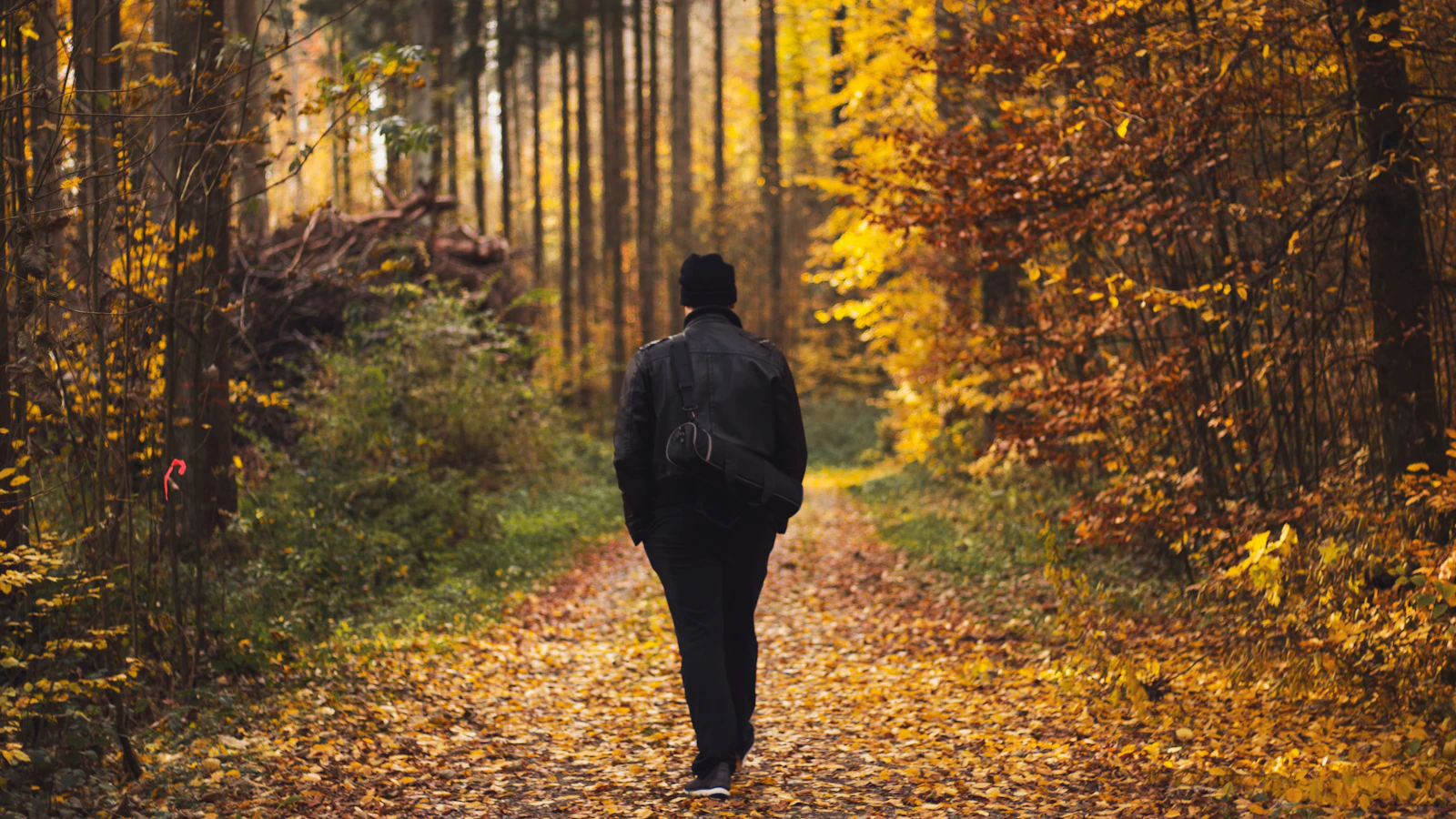 Man walking in daylight along a forest path, movement after a meal.